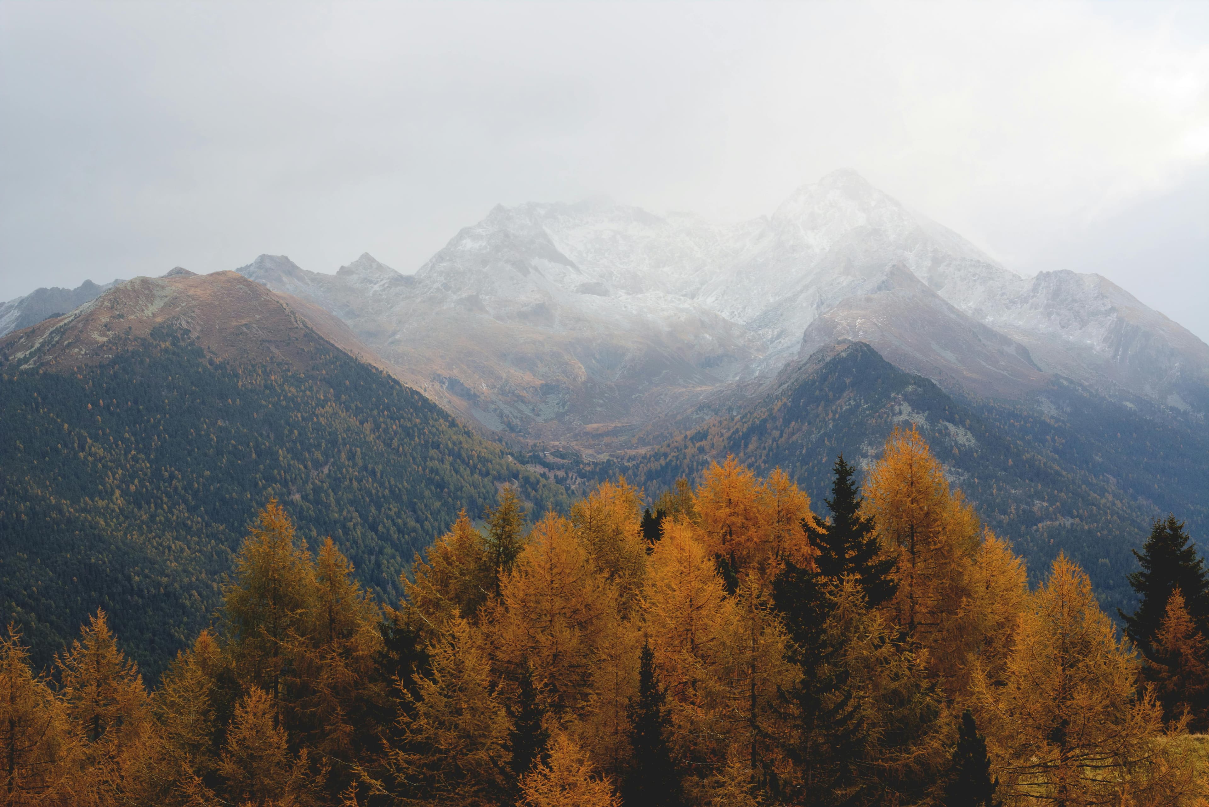 Expansive landscape